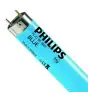 Philips MASTER TL-D 18W - Blau | 60cm