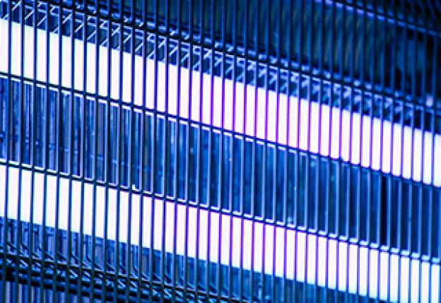 Insektenlampen: Hocheffektiver Schutz für den Sommer