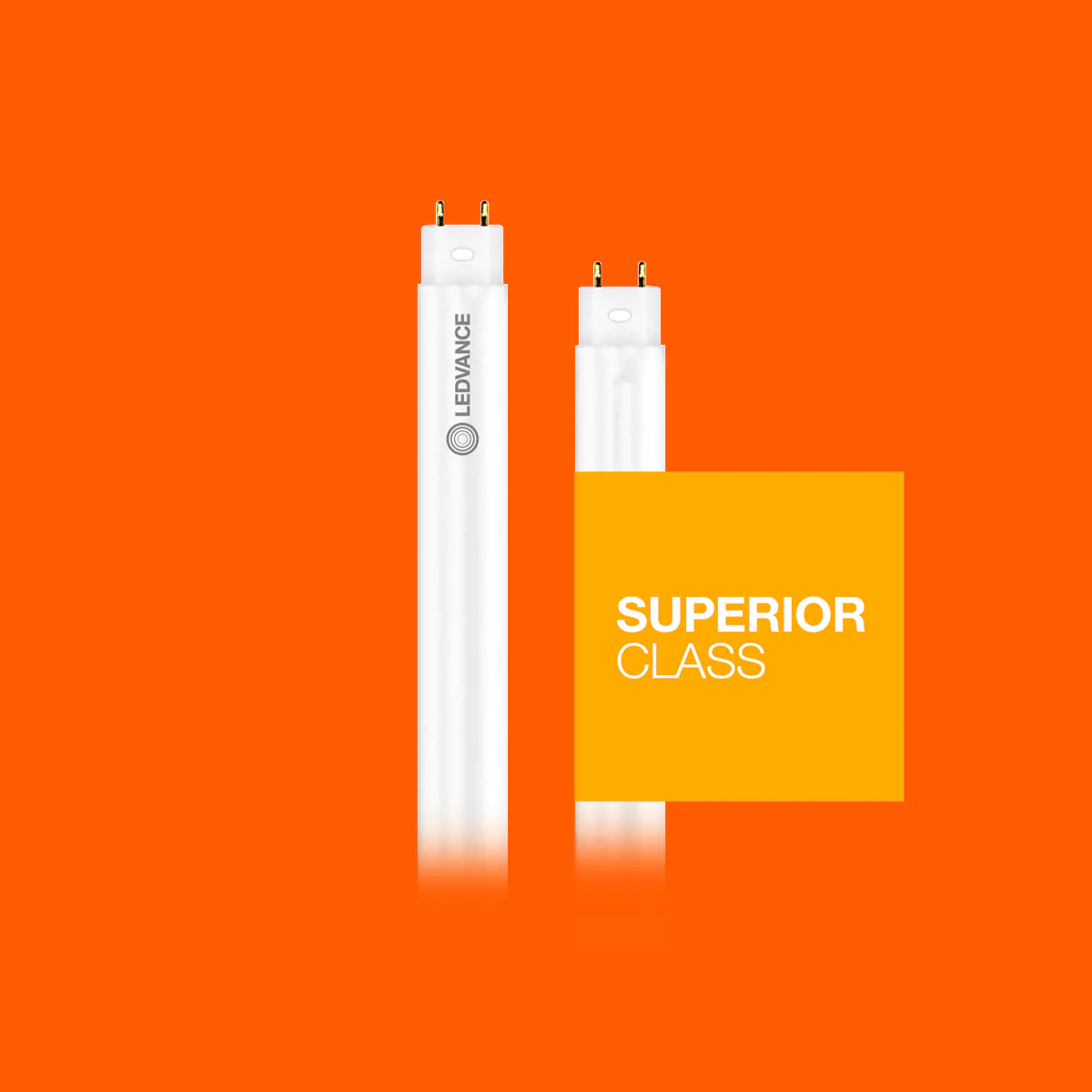 Ledvance T8 Superior Röhren